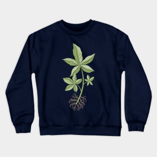 Money Tree Cutting Crewneck Sweatshirt